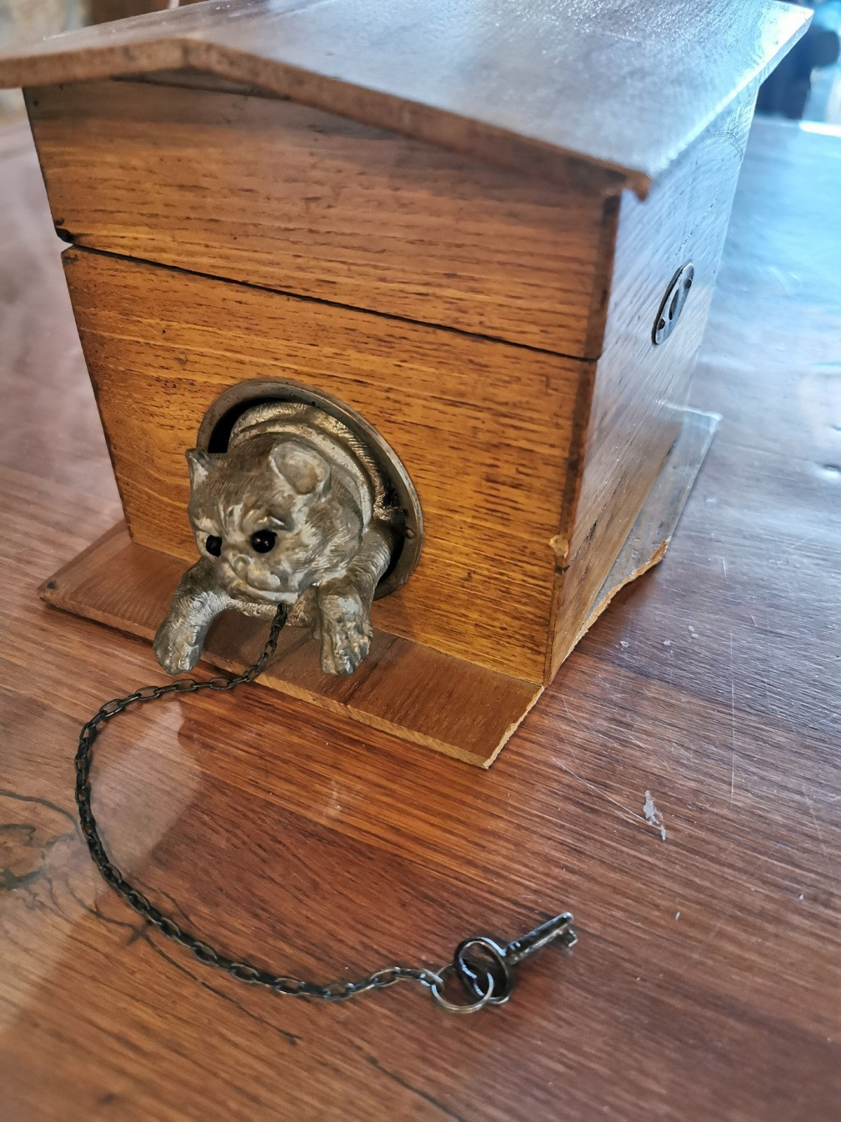 Superb Cigar Box / Humidor, Dog Kennel Design, French Made, circa 1880