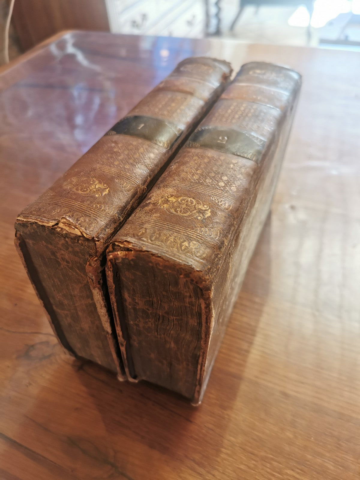 Superb Two-Volume Set, Dictionary of the French Language, by Gattel, 1827