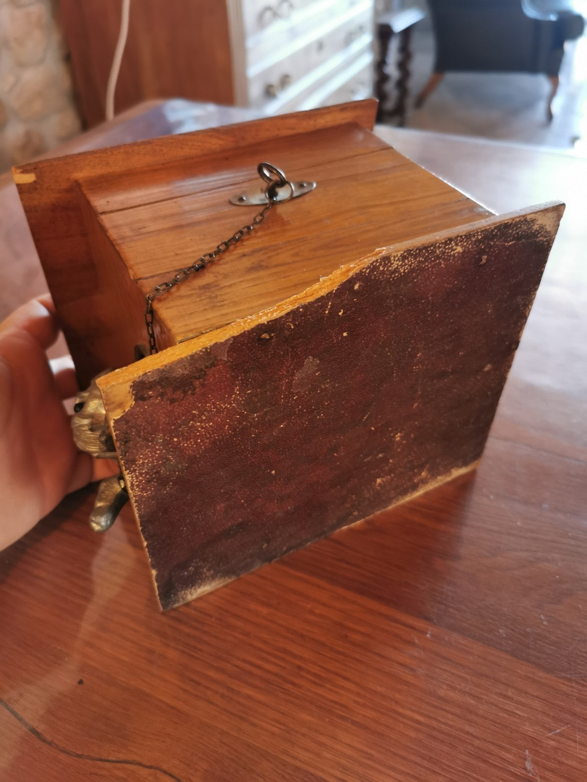 Superb Cigar Box / Humidor, Dog Kennel Design, French Made, circa 1880