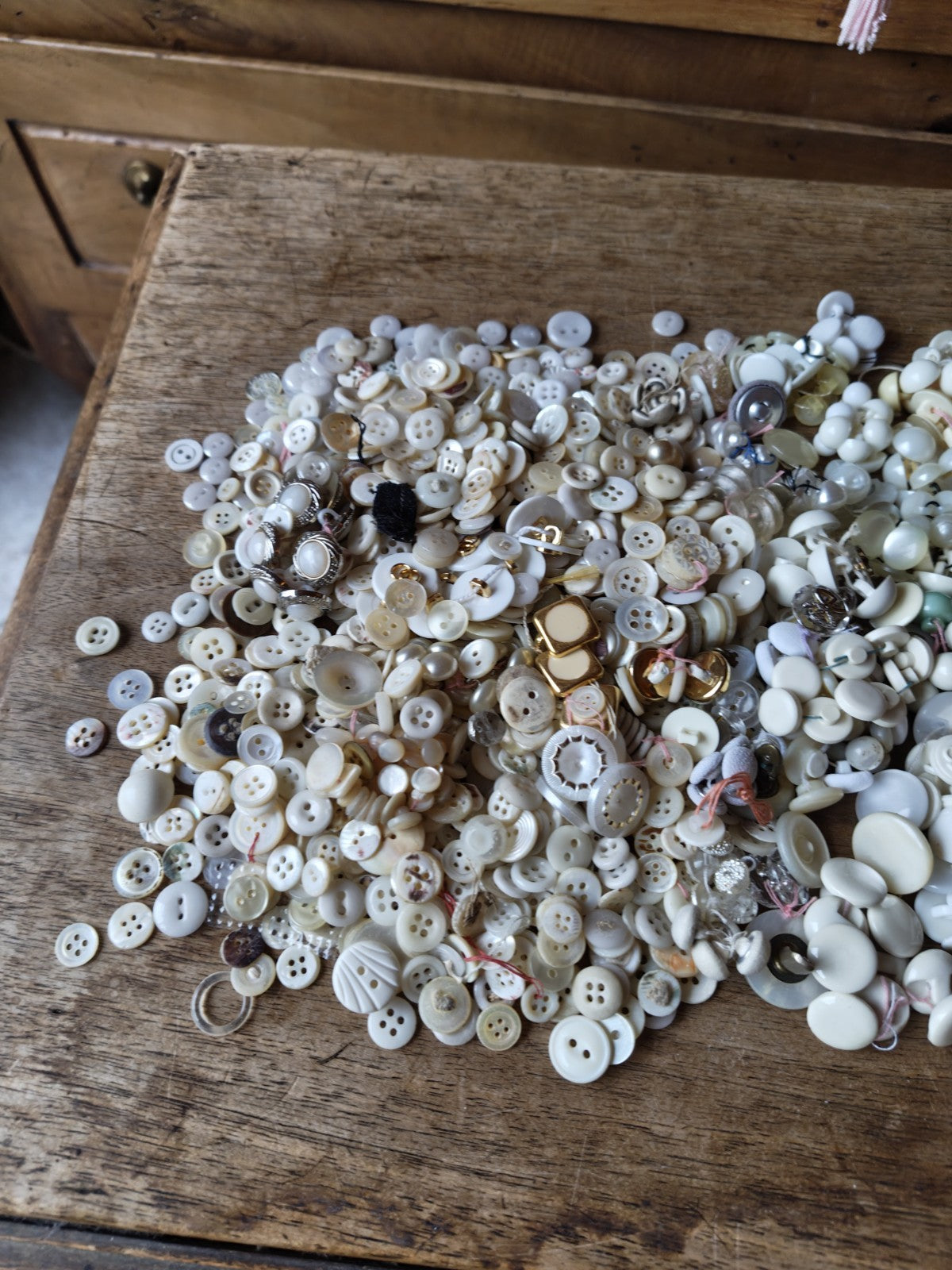 Large Lot of White French Haberdashery Buttons, Vintage