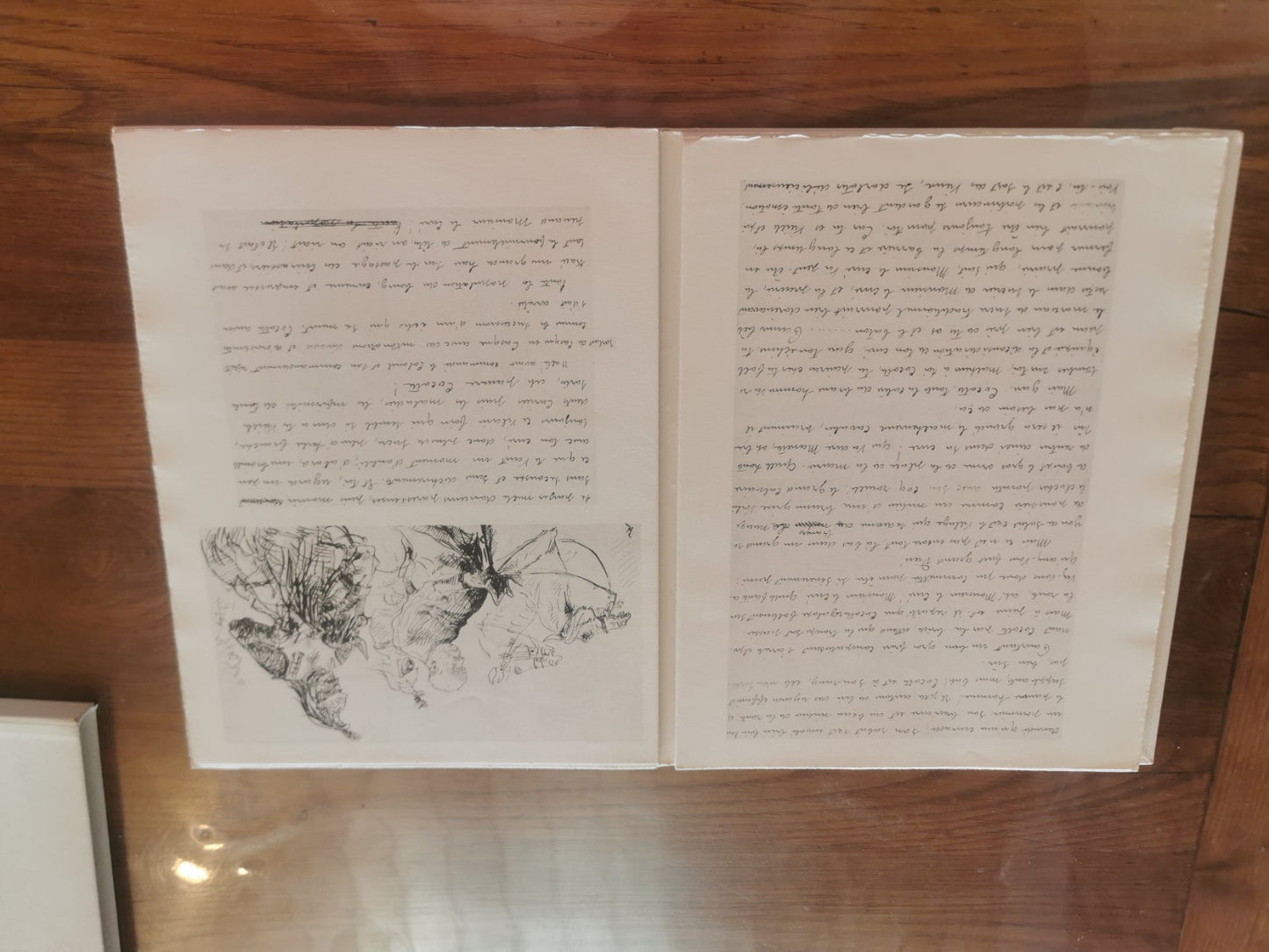 Cocotte by Henri de Toulouse-Lautrec and Étienne Devismes, 1953