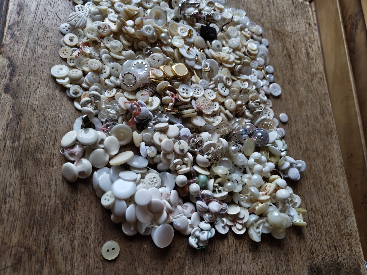 Large Lot of White French Haberdashery Buttons, Vintage
