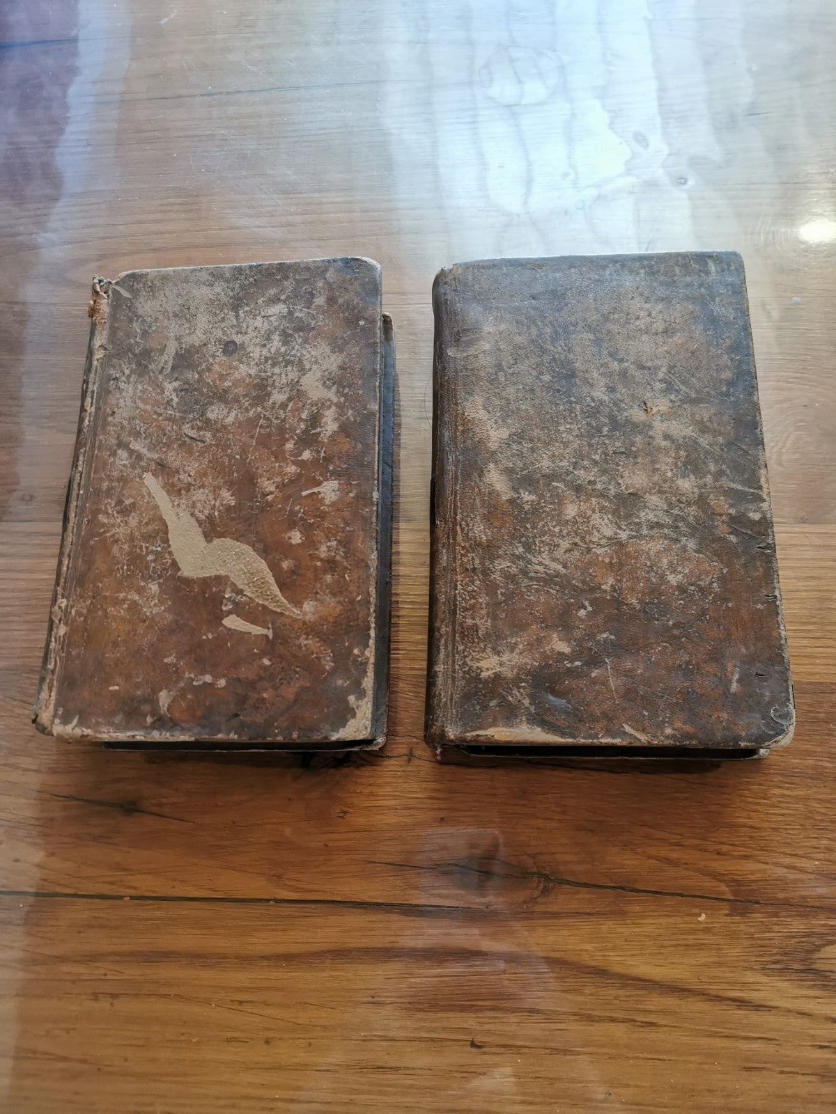 Superb Two-Volume Set, Dictionary of the French Language, by Gattel, 1827
