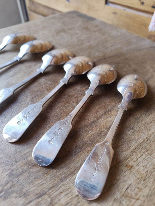 Set of 6 Antique Coffee Spoons, 19th Century