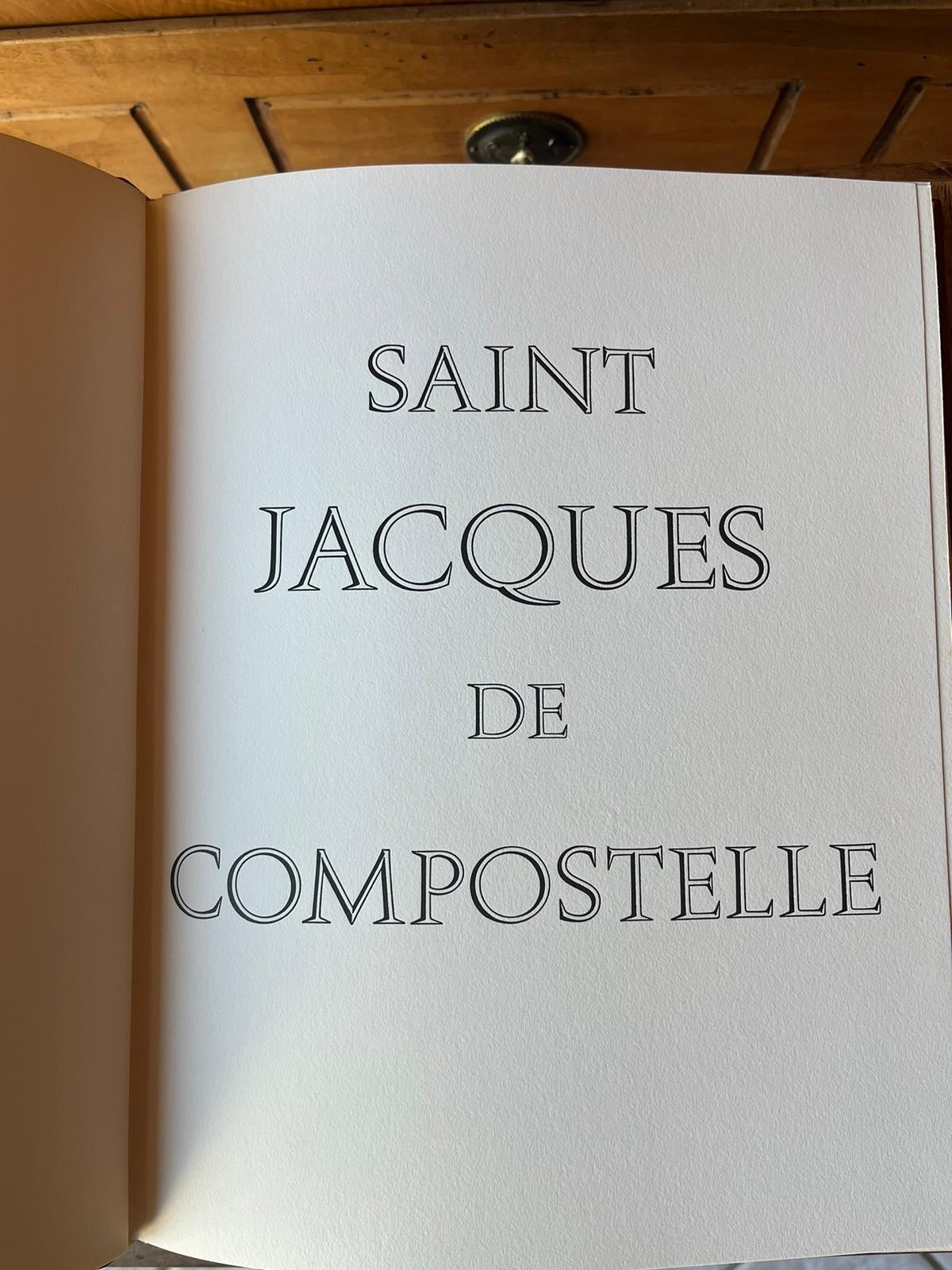 PILGRIMAGE to Saint James of Compostela / Nicolas Flambert