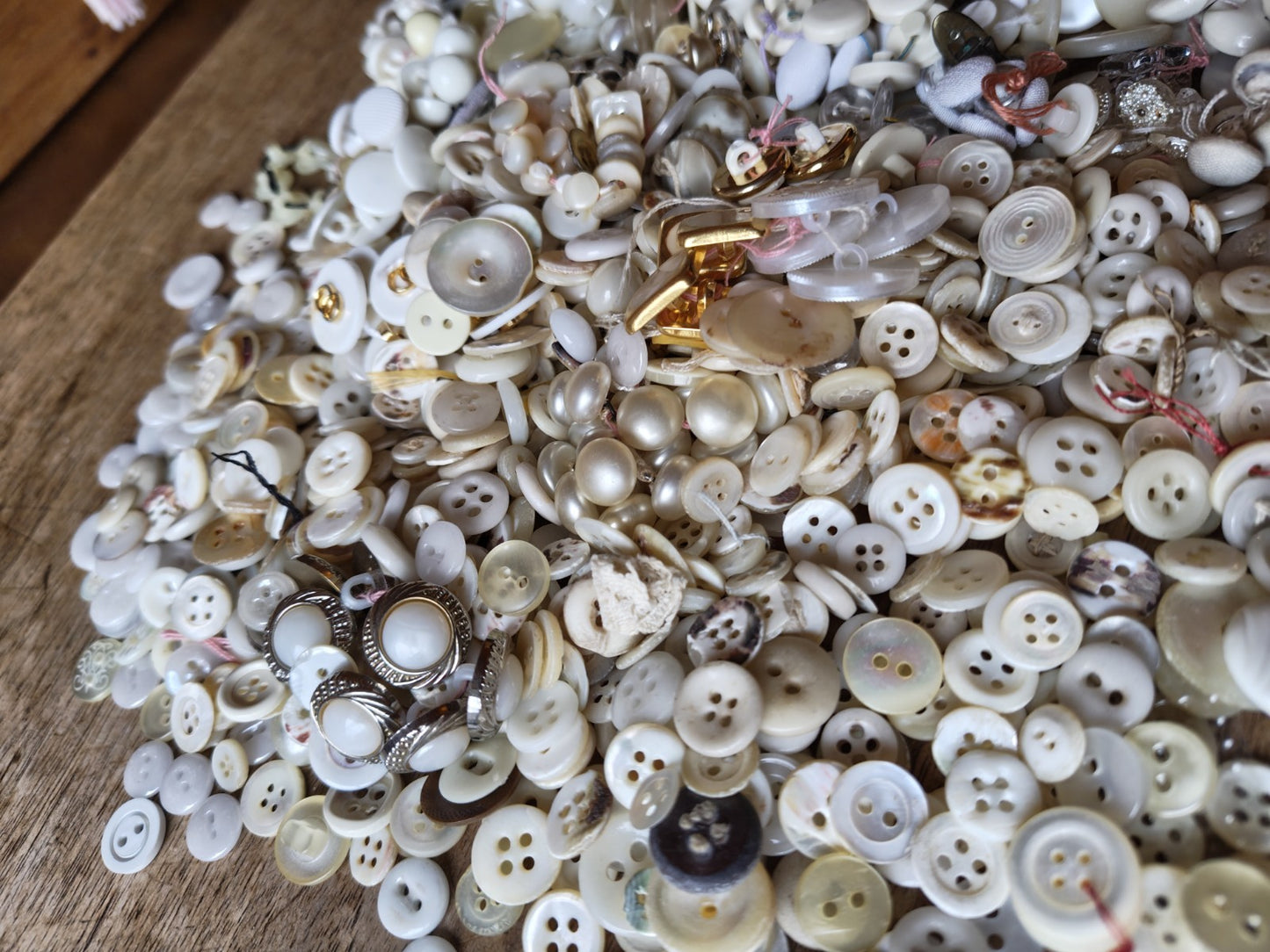 Large Lot of White French Haberdashery Buttons, Vintage