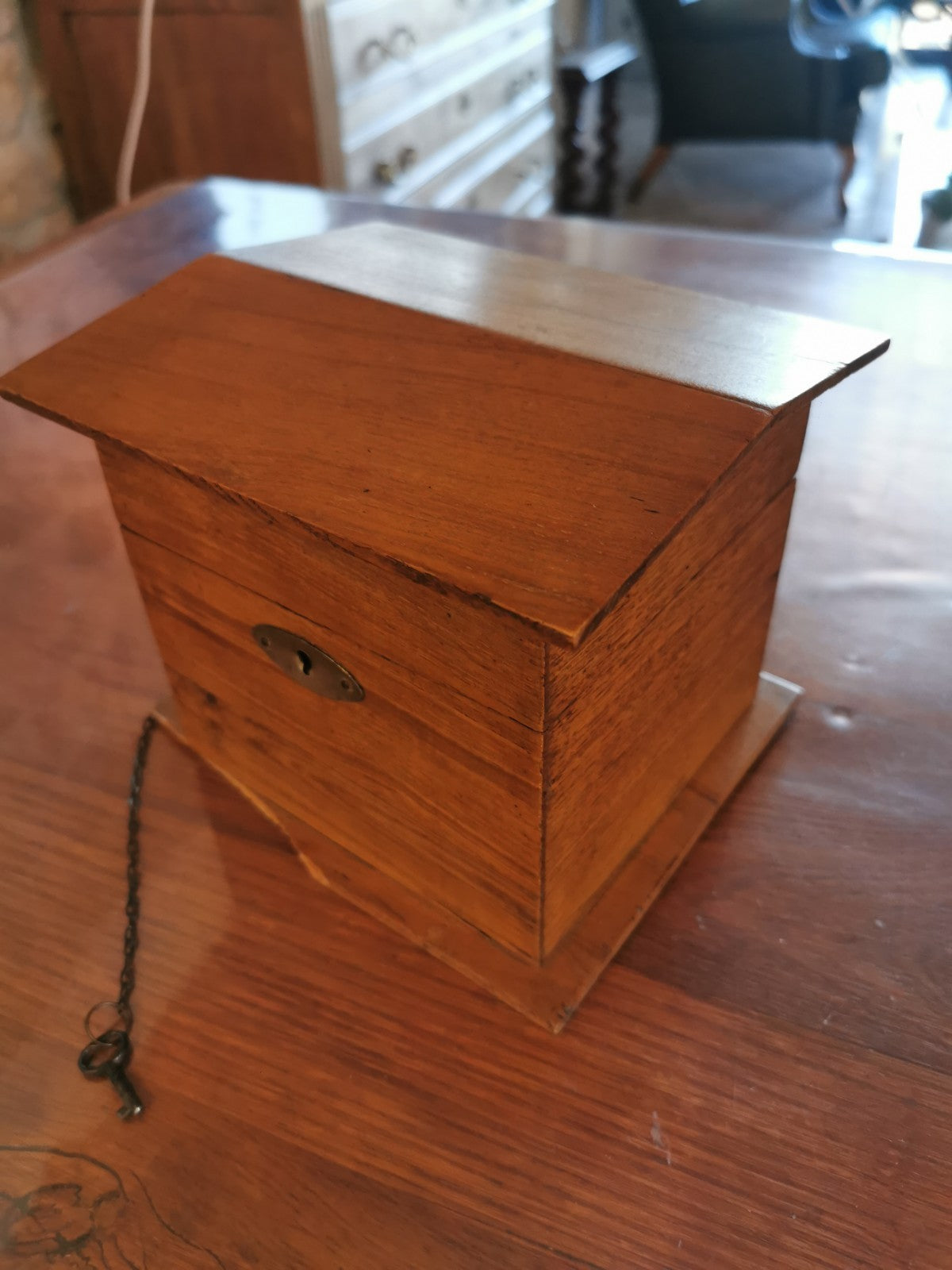 Superb Cigar Box / Humidor, Dog Kennel Design, French Made, circa 1880